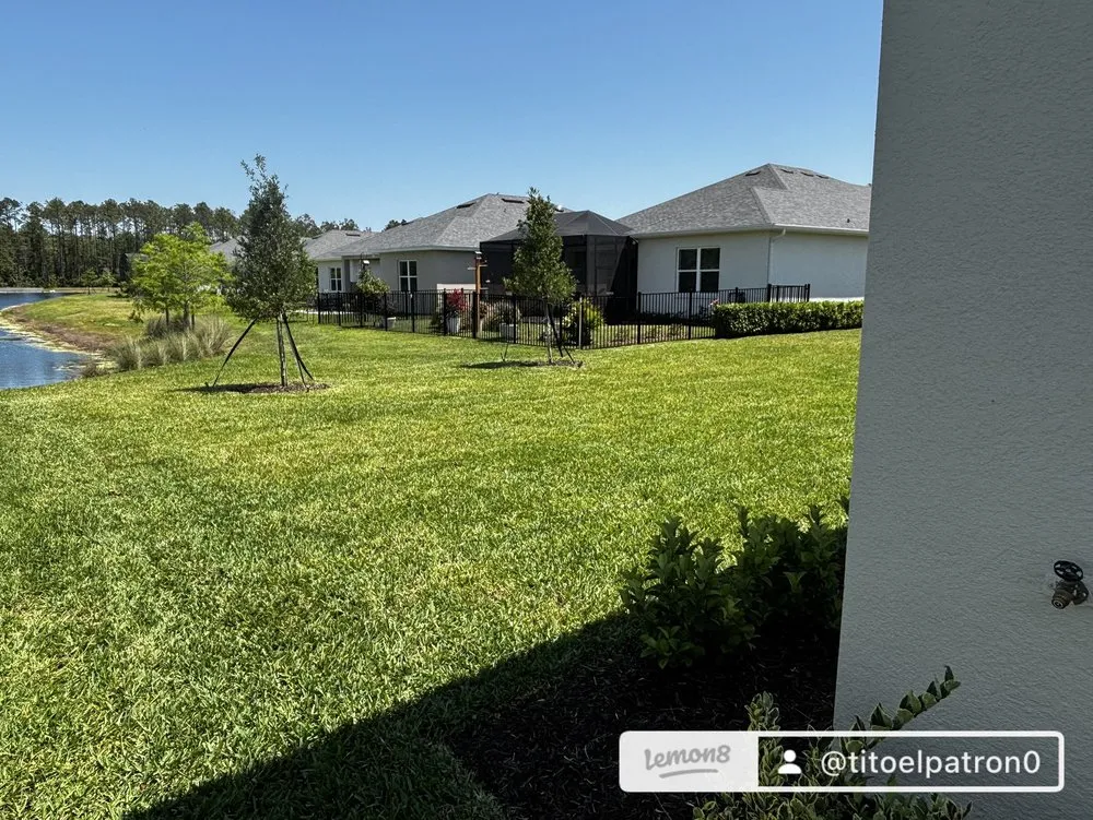 Professional yard maintenance for outdoor upgrades in Bunnell, FL by Weeds Rus