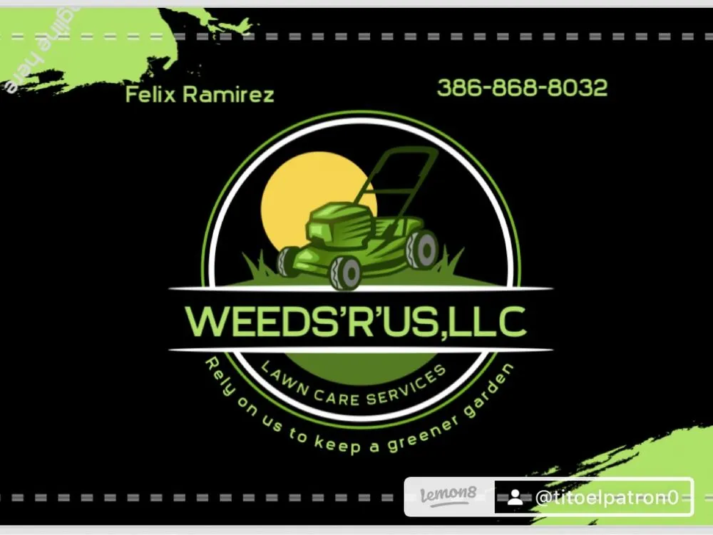 Professional garden landscaping in Bunnell, FL by Weeds Rus