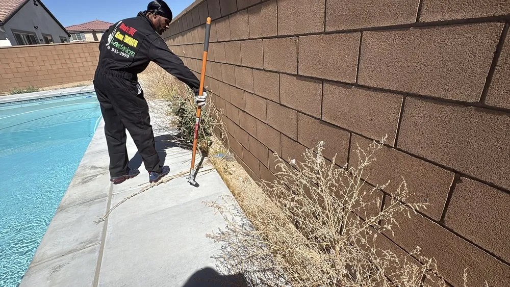 Trusted lawn care service for residential properties across Victorville, CA - Weed’s Today Gone Tomorrow