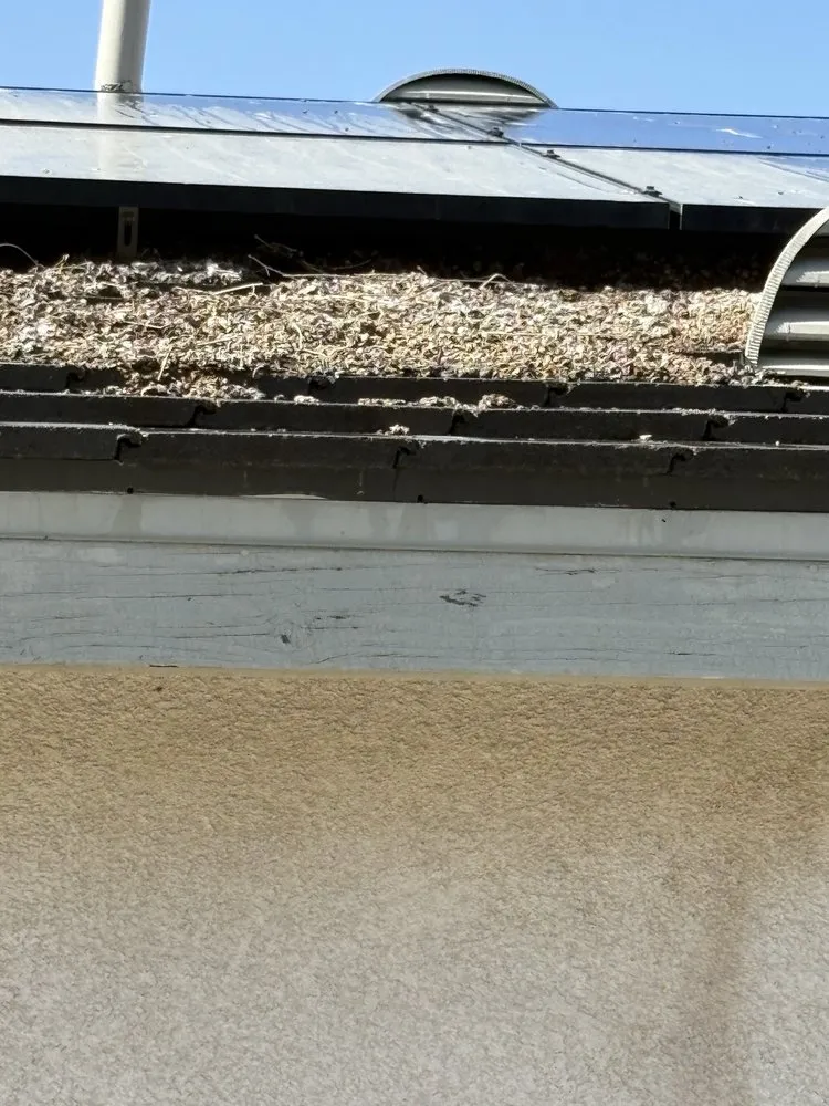 Affordable lawn care service experts serving Victorville, CA - Weed’s Today Gone Tomorrow