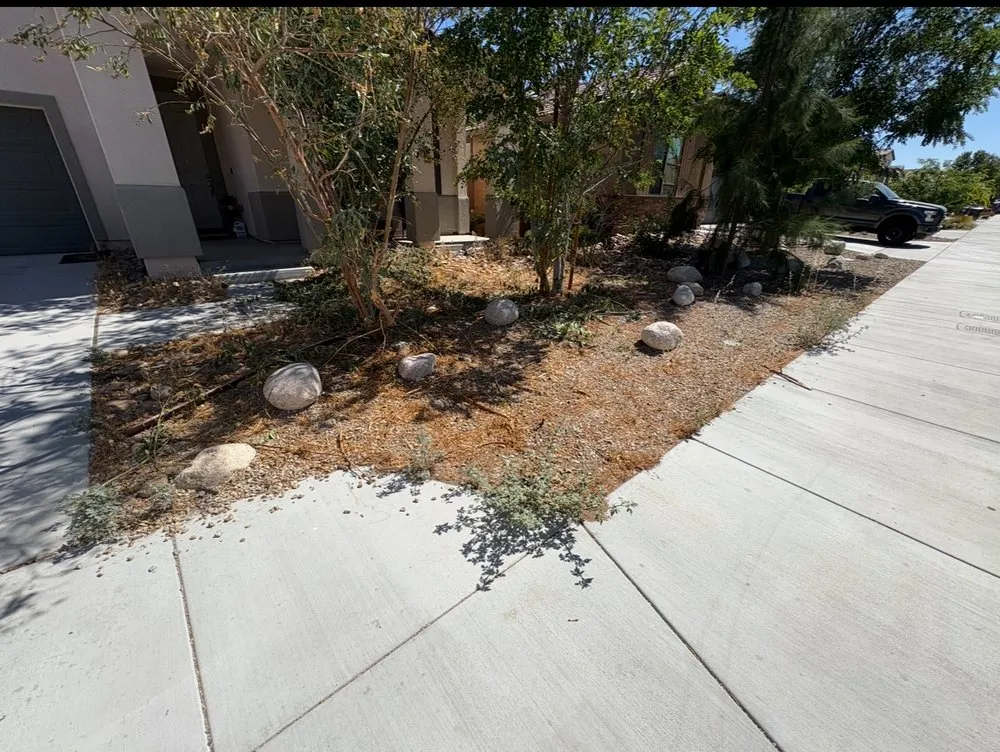 Professional landscape design for beautiful yards in Victorville, CA by Weed’s Today Gone Tomorrow