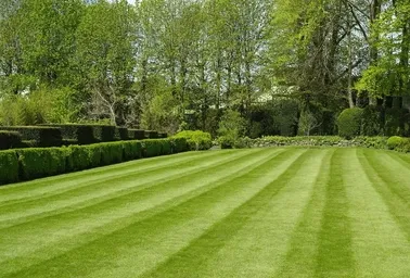 Expert landscape design for year-round maintenance across Lapeer, MI - Weeds Whacked