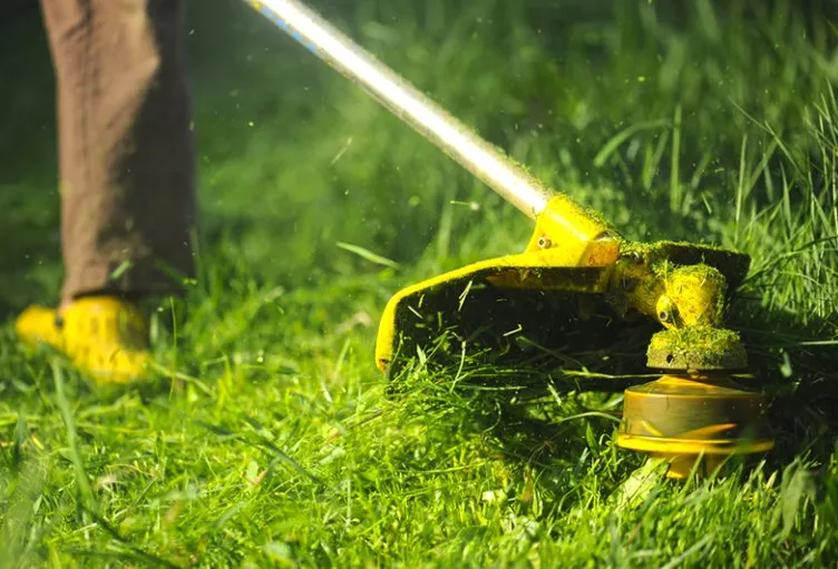 Trusted yard maintenance in Lapeer, MI - Weeds Whacked