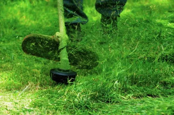 Trusted residential landscaping in Lapeer, MI - Weeds Whacked