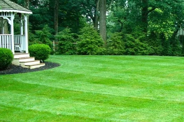 Custom lawn care service in Lapeer, MI by Weeds Whacked
