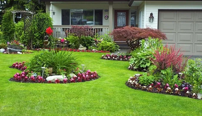 Custom lawn care service experts serving Lapeer, MI - Weeds Whacked
