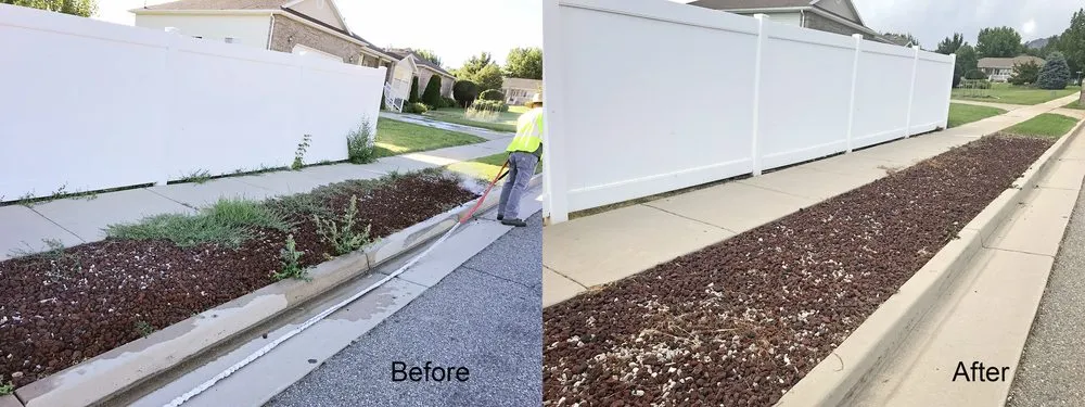 Custom residential landscaping experts serving Aspen, CO - Weedsteam