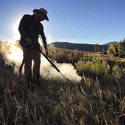 Trusted landscaping services in Aspen, CO by Weedsteam