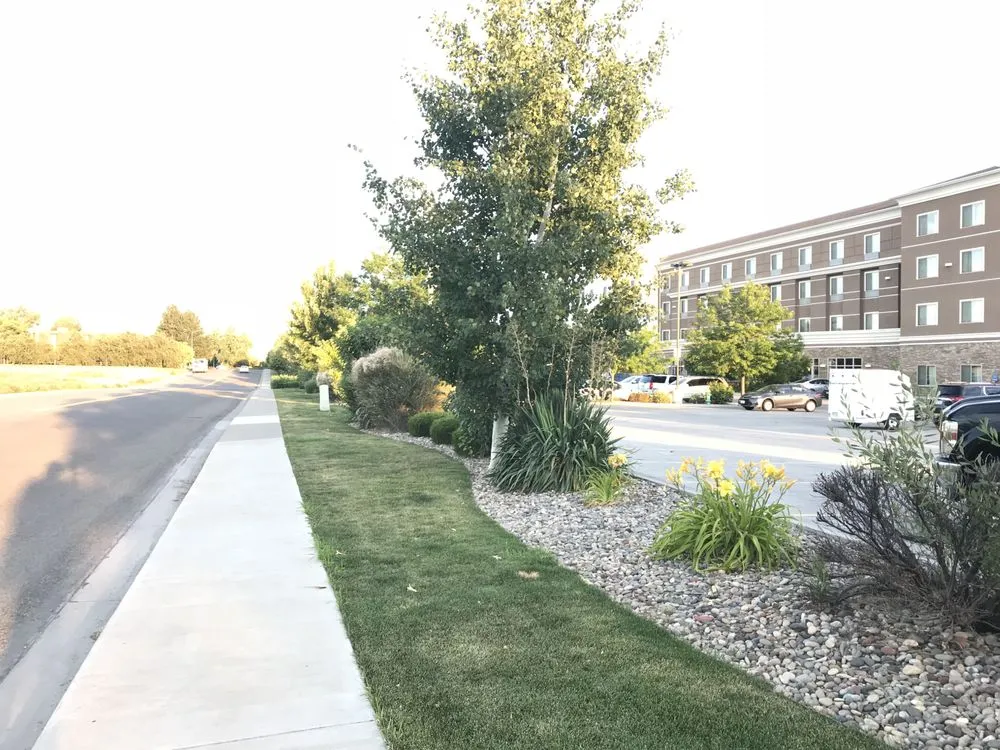 Trusted lawn mowing service in Aspen, CO - Weedsteam