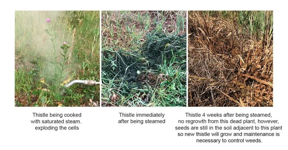 Expert landscape installation with custom design in Aspen, CO by Weedsteam