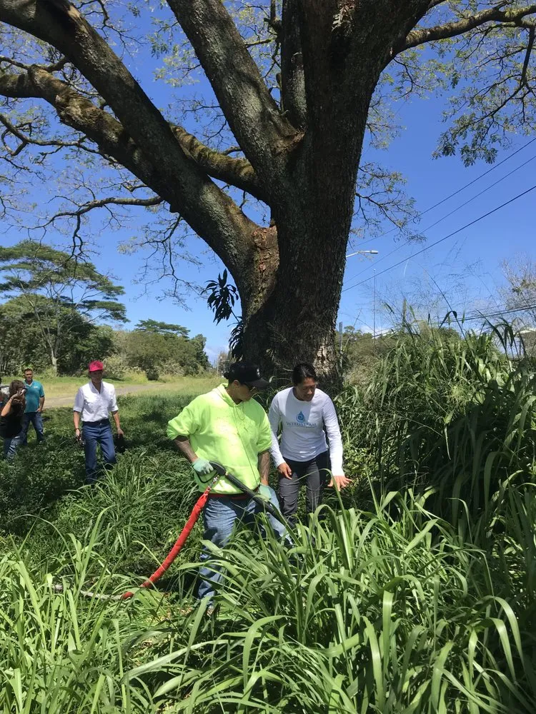 Professional residential landscaping in Paia, HI - Weedsteam Hawai'i