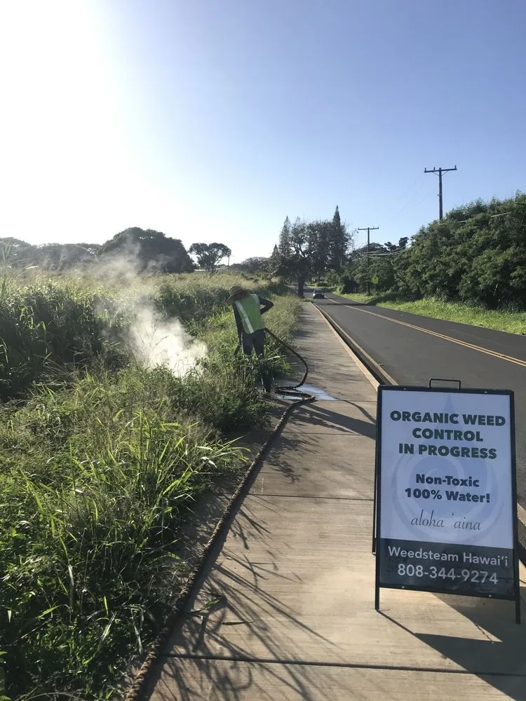 Custom residential landscaping for outdoor upgrades in Paia, HI by Weedsteam Hawai'i