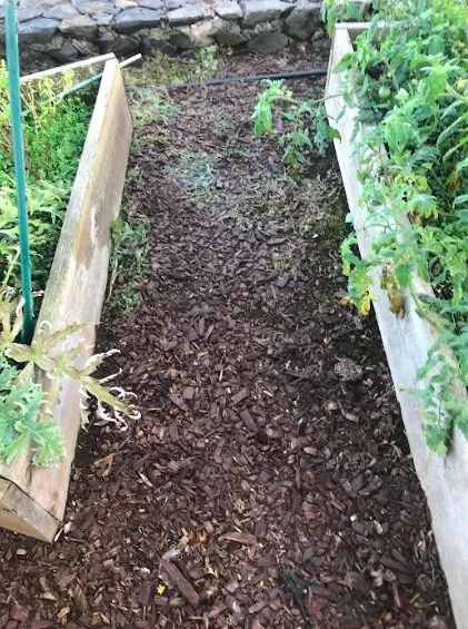 Top-rated landscaping services in Paia, HI by Weedsteam Hawai'i