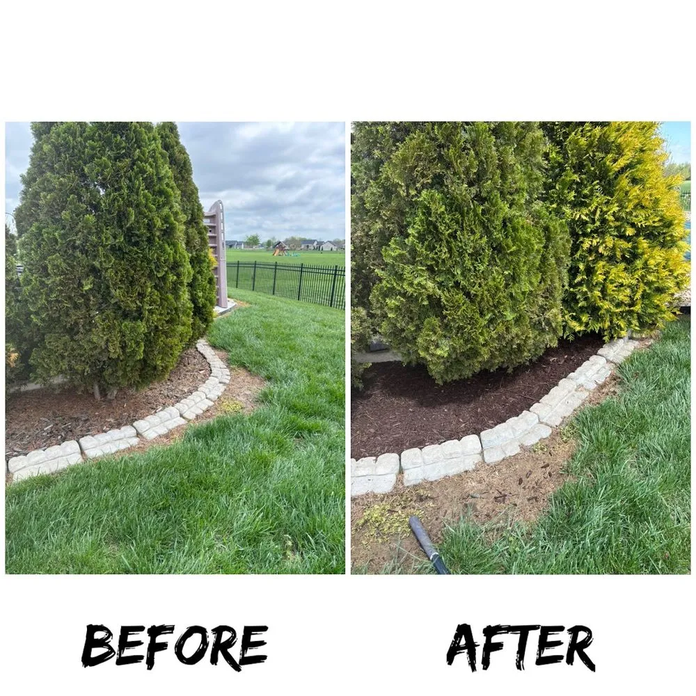 Top-rated yard maintenance in Waterloo, IL - Weedwackers Lawncare