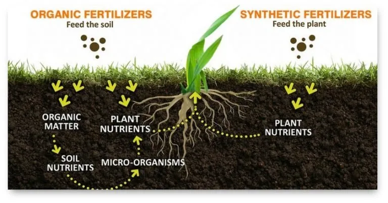 Reliable yard maintenance in West Chester, PA - WeedX Fertilizing