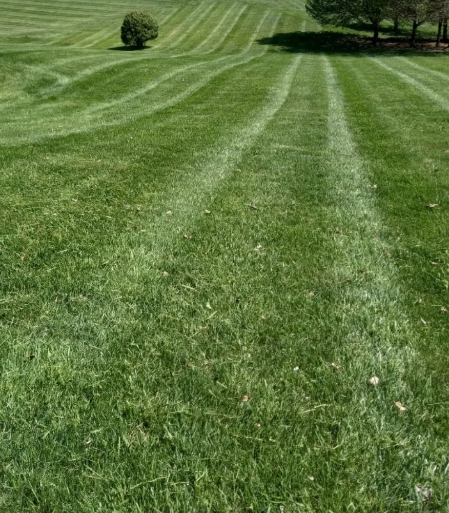 Trusted lawn mowing service experts serving West Chester, PA - WeedX Fertilizing