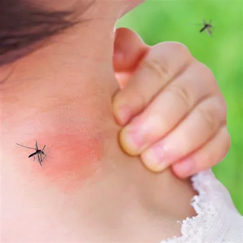 Affordable lawn mowing service for beautiful yards in West Chester, PA by WeedX Fertilizing