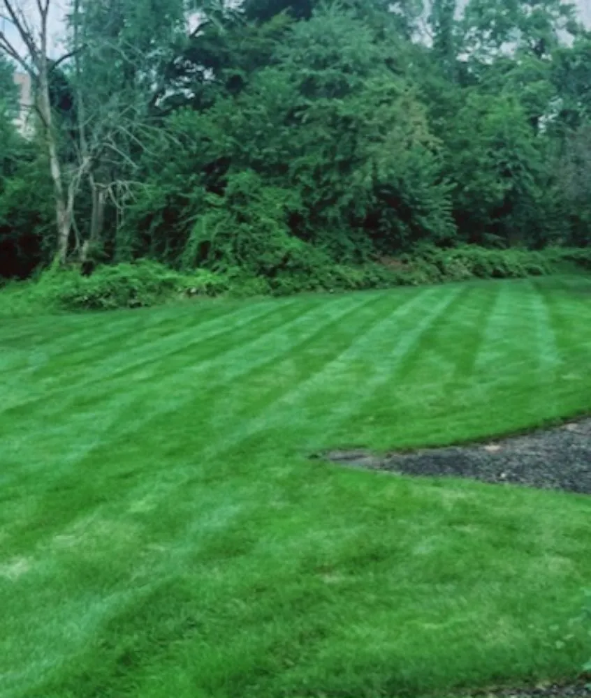 Affordable garden landscaping in West Chester, PA by WeedX Fertilizing