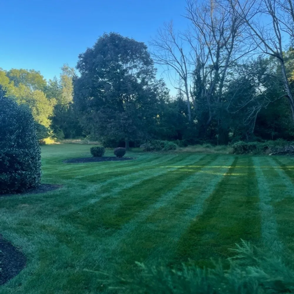 Local landscape design near you across West Chester, PA - WeedX Fertilizing