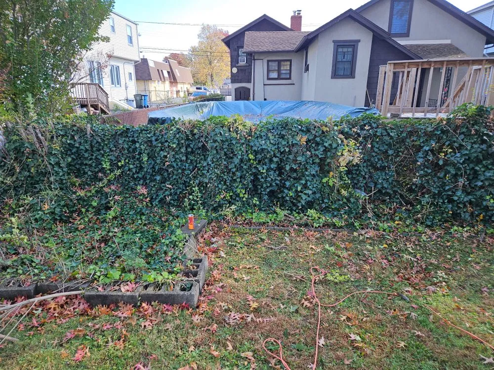 Professional residential landscaping for residential properties across Edison, NJ - Weekend Handyman Services