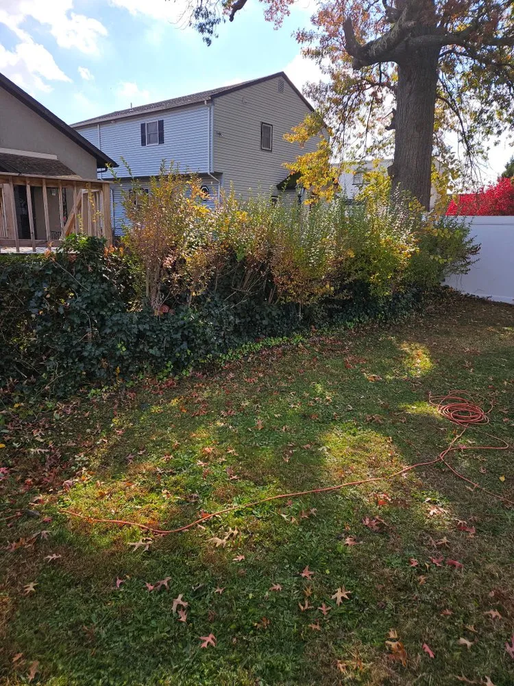 Expert garden landscaping in Edison, NJ by Weekend Handyman Services