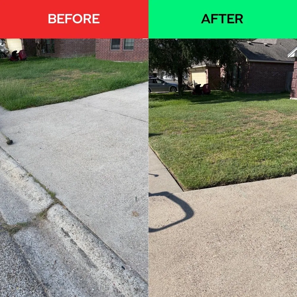 Expert yard cleanup service in CTY BY THE SE, TX by Weekend Warrior Land Management