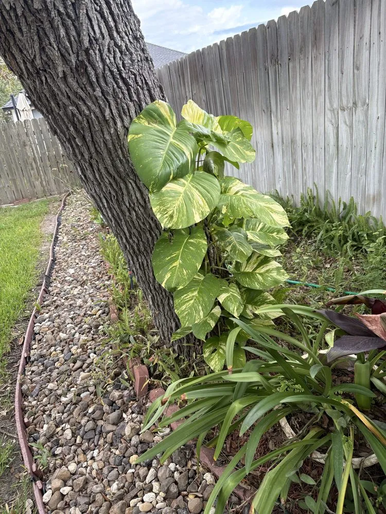 Custom outdoor landscaping in CTY BY THE SE, TX by Weekend Warrior Land Management