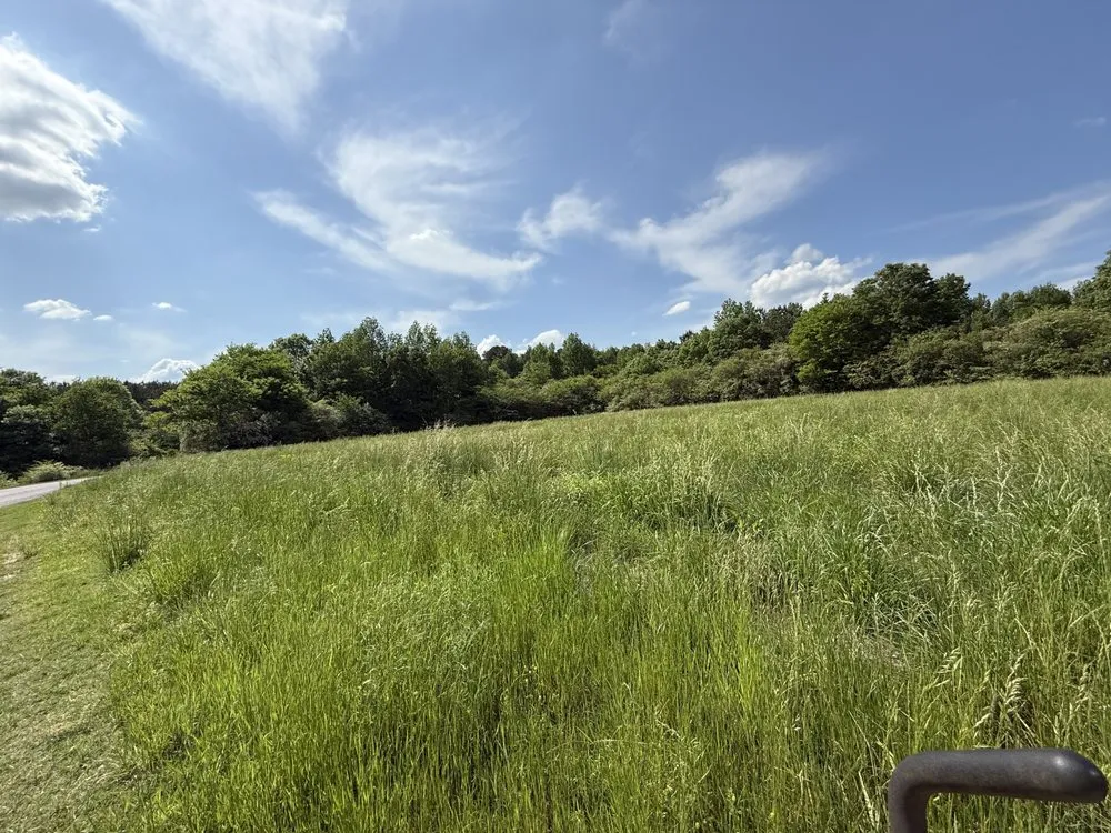 Professional yard cleanup service with custom design in Carbon Hill, AL by Weekend Warrior Lawn Care