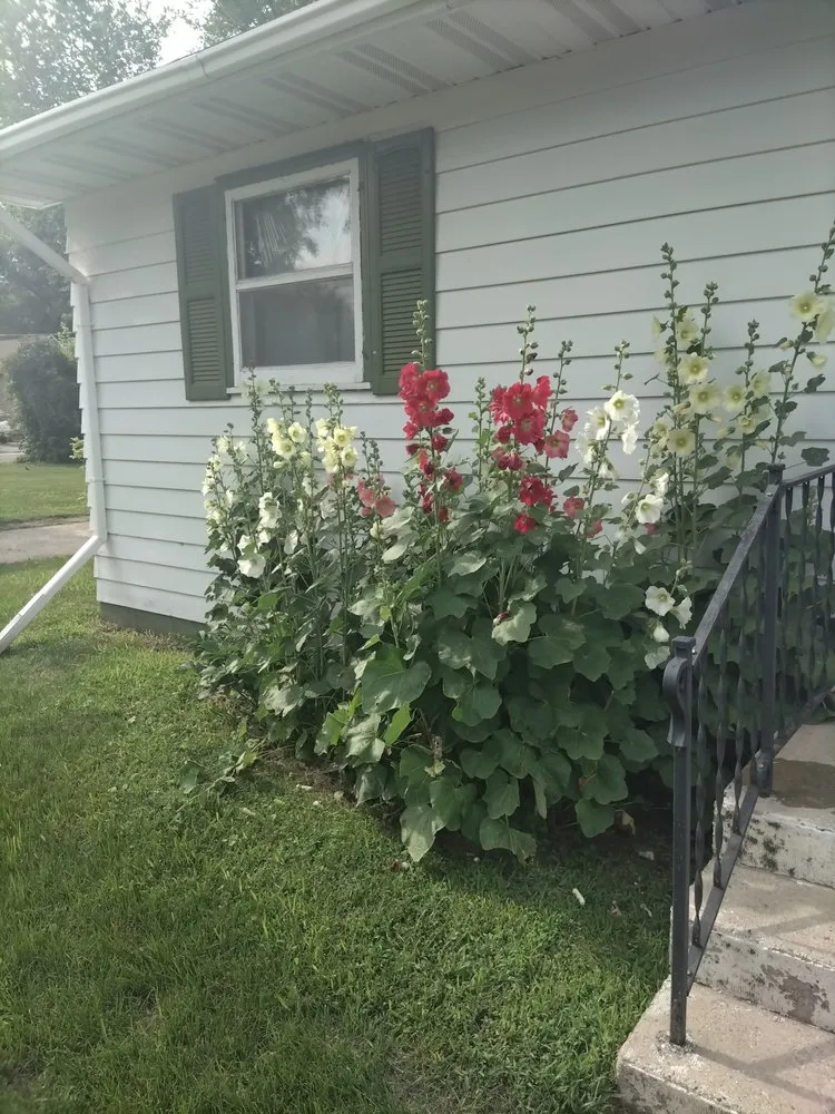 Custom yard cleanup service in GFAFB, ND by Weekend Warrior Lawn Care