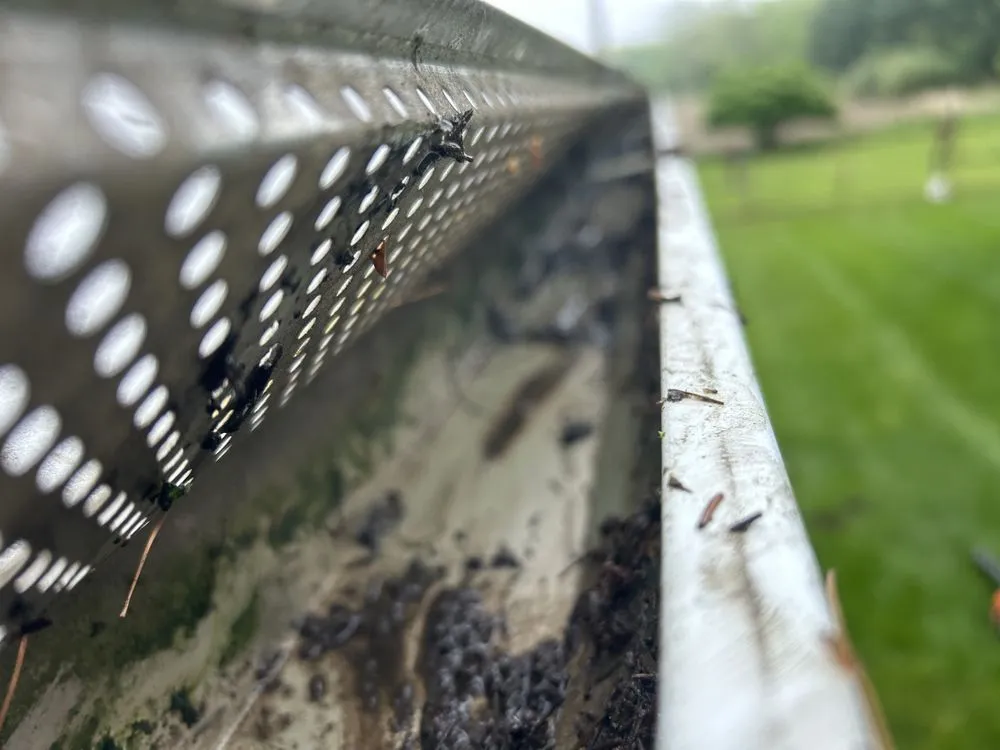 Affordable garden landscaping experts serving Charlotte, MI - Weekend Warriors