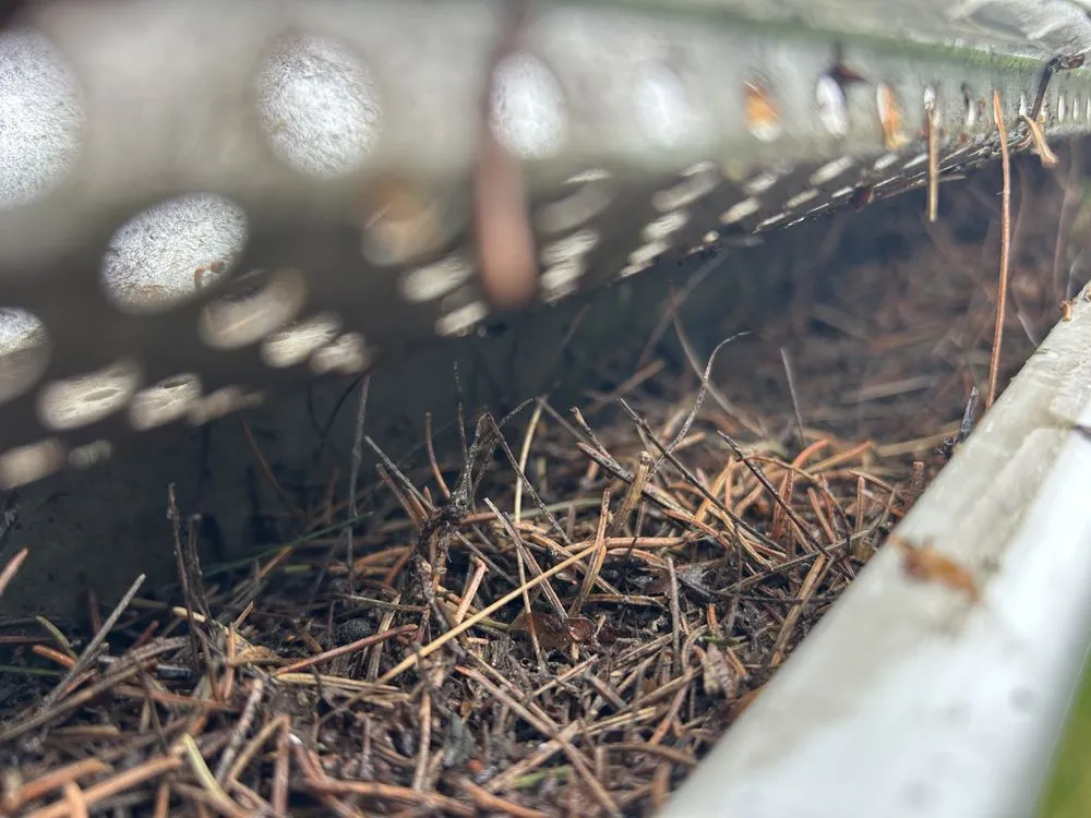 Custom residential landscaping for year-round maintenance across Charlotte, MI - Weekend Warriors