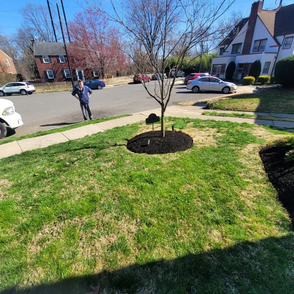 Professional landscape design for homes across Drexel Hill, PA - Weekend Warriors Landscaping