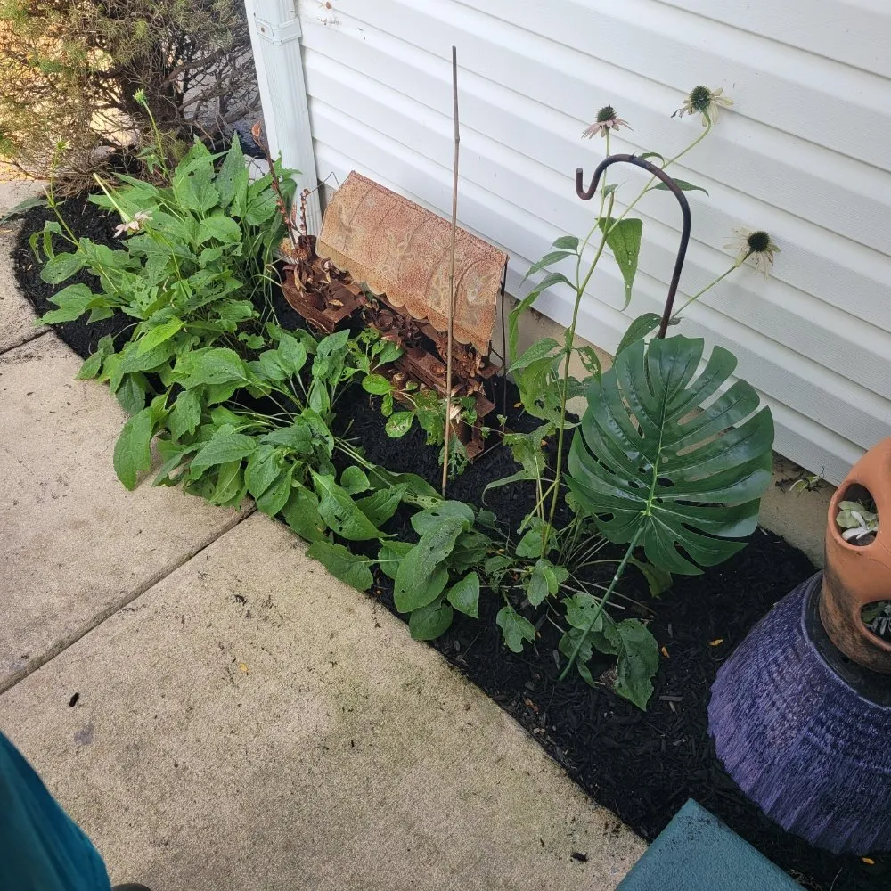 Affordable residential landscaping in Drexel Hill, PA by Weekend Warriors Landscaping