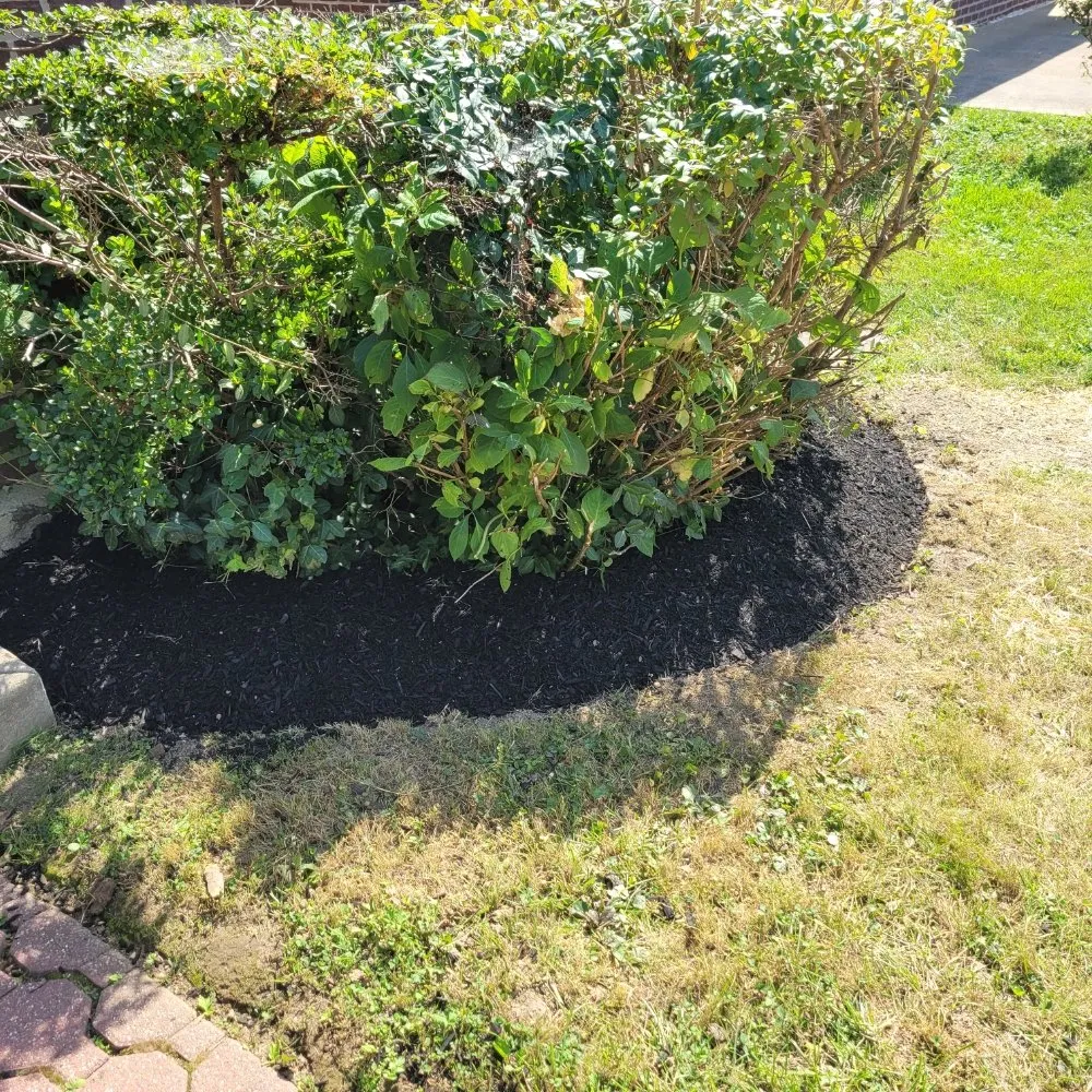 Trusted yard maintenance for outdoor upgrades in Drexel Hill, PA by Weekend Warriors Landscaping