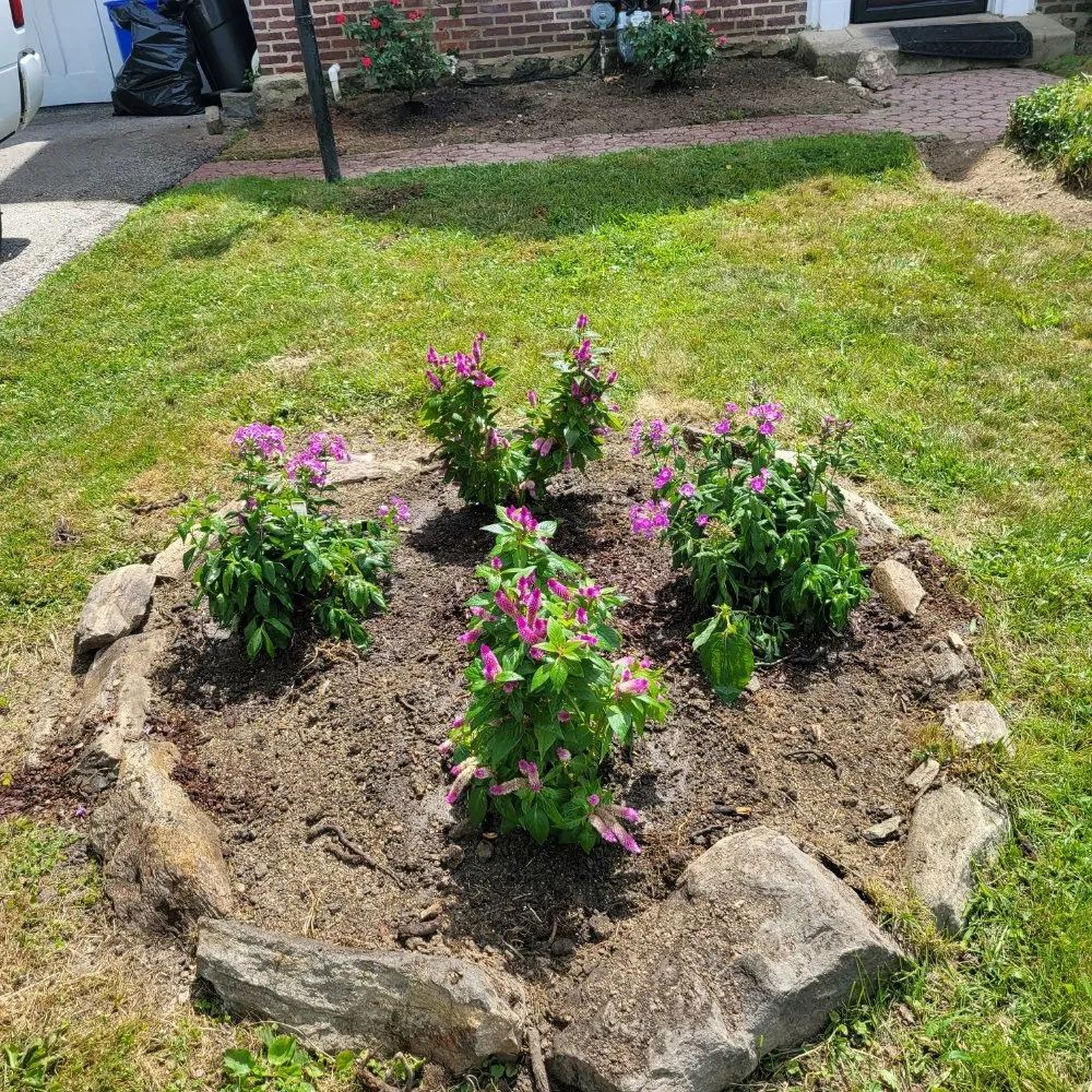 Affordable landscape installation near you across Drexel Hill, PA - Weekend Warriors Landscaping