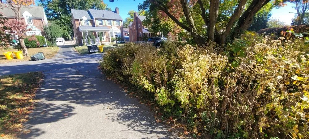 Custom lawn mowing service in Drexel Hill, PA - Weekend Warriors Landscaping