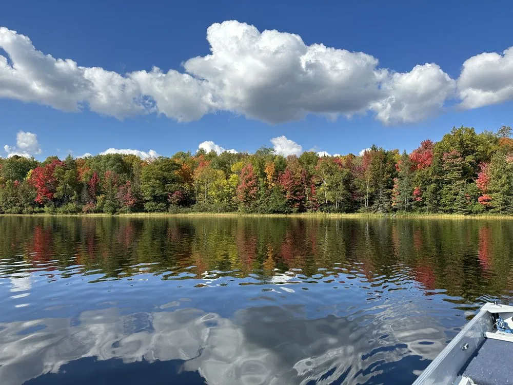 Affordable landscape installation in Rhinelander, WI - Weekend Warriors lawn and prune