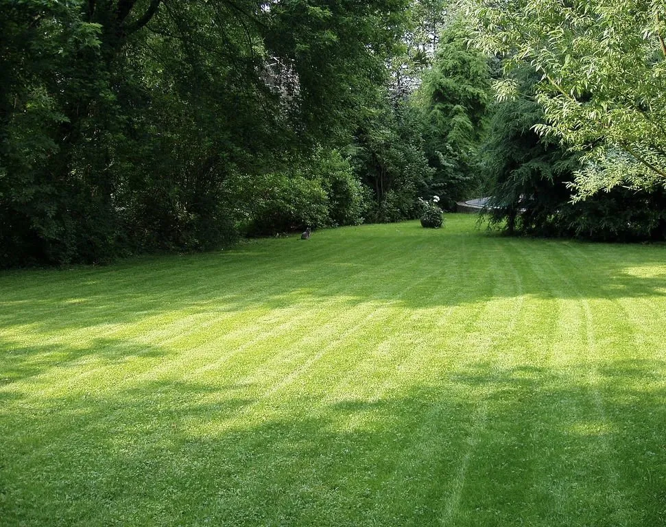 Professional lawn care service in Wake Forest, NC by Weekends Pressure Washing and Lawn Care