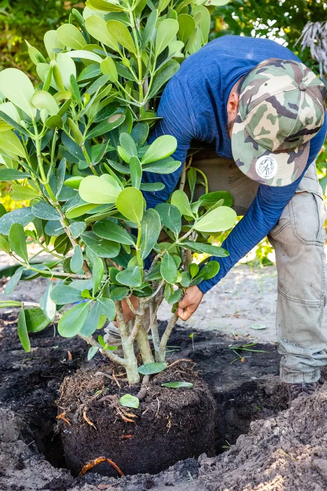 Trusted landscape design in Fort Myers, FL - Weeks Landscaping Of Ft Myers