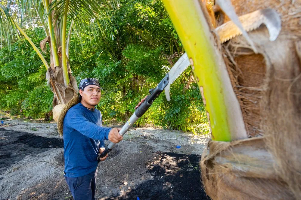 Trusted residential landscaping in Fort Myers, FL - Weeks Landscaping Of Ft Myers