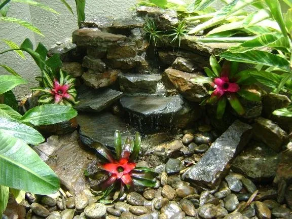 Top-rated yard cleanup service for year-round maintenance across Fort Myers, FL - Weeks Landscaping Of Ft Myers