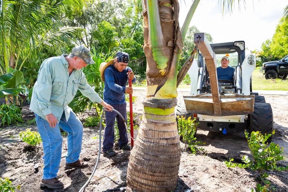 Reliable lawn care service in Fort Myers, FL by Weeks Landscaping Of Ft Myers