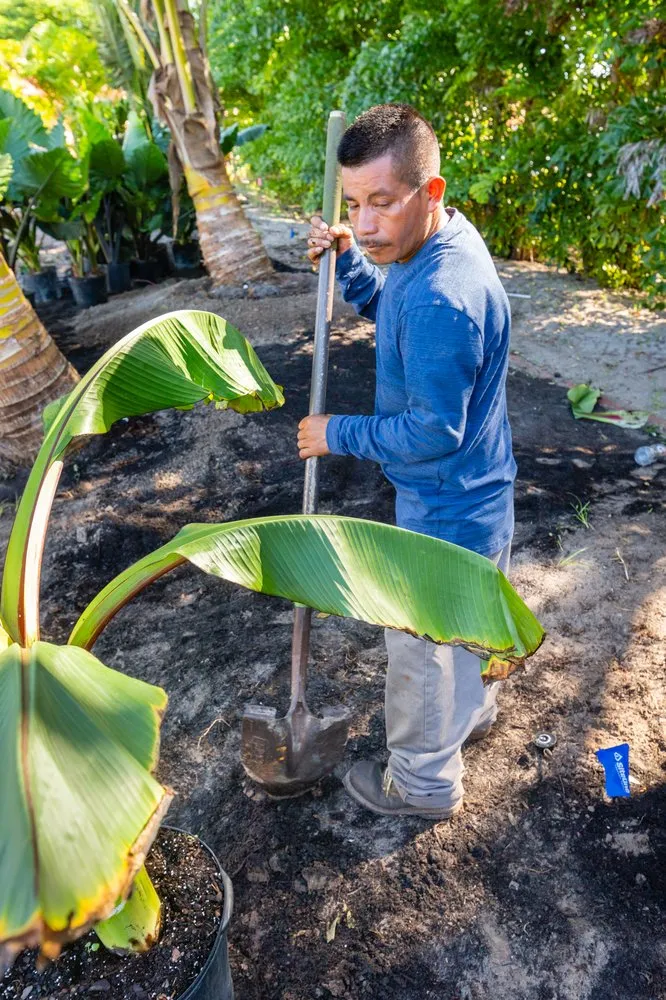 Affordable yard cleanup service for outdoor upgrades in Fort Myers, FL by Weeks Landscaping Of Ft Myers