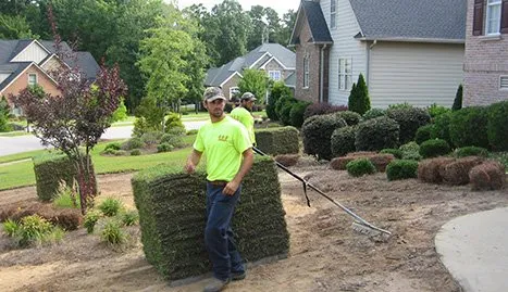 Local landscape design with custom design across Long Beach, MS - Weems Sharp Cut Lawn Care