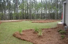 Affordable lawn care service in Long Beach, MS - Weems Sharp Cut Lawn Care