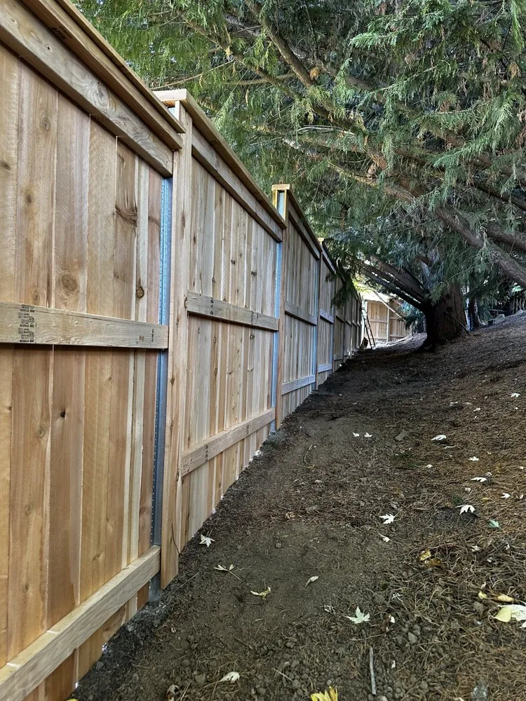 Affordable outdoor landscaping experts serving Hillsboro, OR - Weeping Willow Landscape