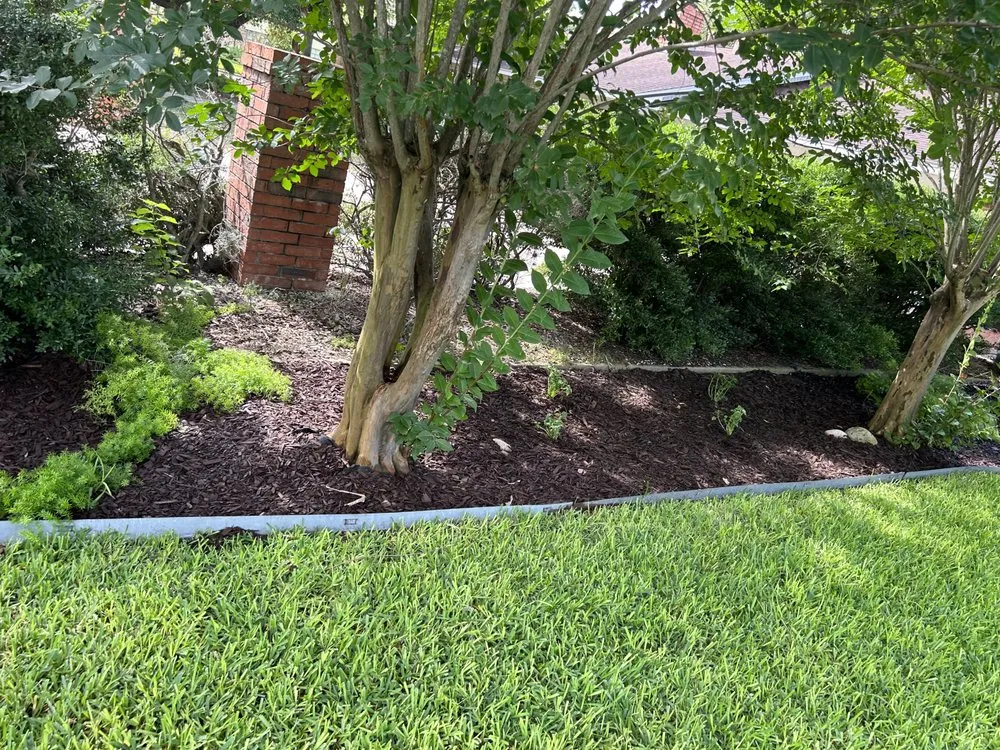 Reliable yard maintenance with custom design in San Marcos, TX by Weg's Lawn Care