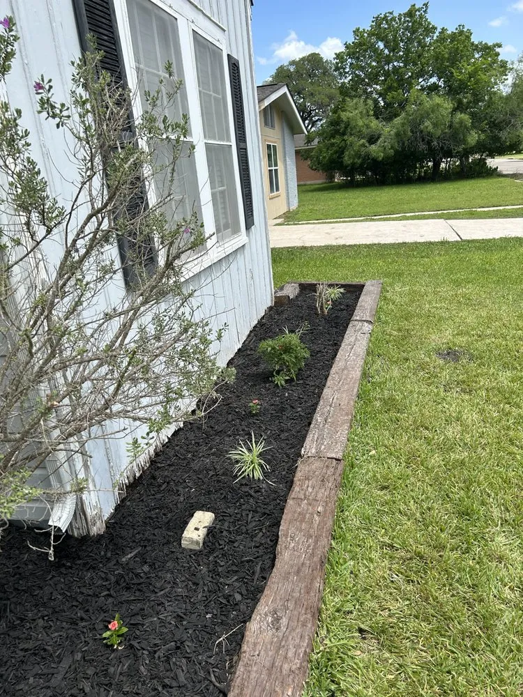 Local landscape installation for year-round maintenance in San Marcos, TX by Weg's Lawn Care