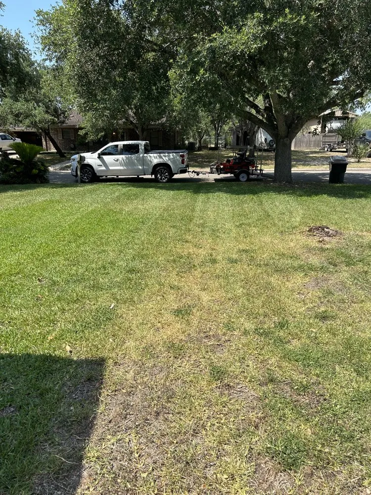 Professional residential landscaping with custom design across San Marcos, TX - Weg's Lawn Care