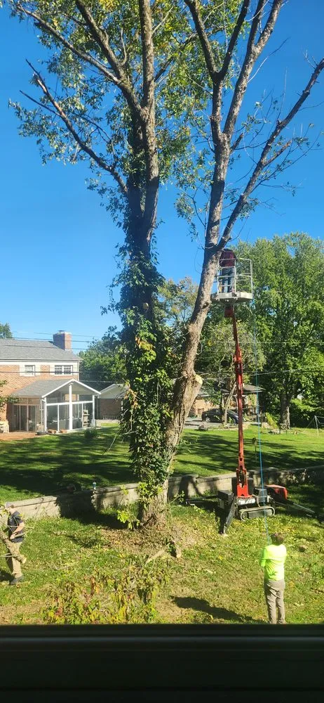 Reliable residential landscaping in Perryville, MO - Weibrecht Landscaping